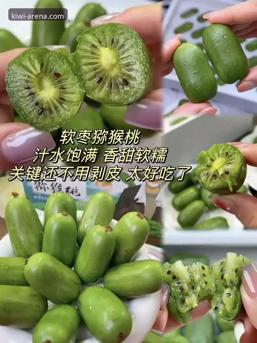 为什么选择奇异果体育电脑版？一个老用户的真实使用体验分享